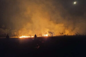 Voluntários pedem doações para combate ao incêndio no Parque Estadual de Terra Ronca