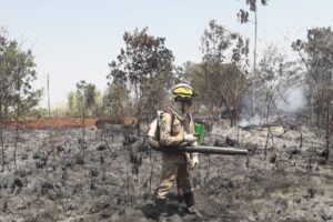 Incêndios florestais extremos devem aumentar mais de 50% até o fim do século, alerta ONU