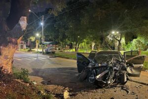 Frente de carro destruída após impacto com árvore no canteiro central