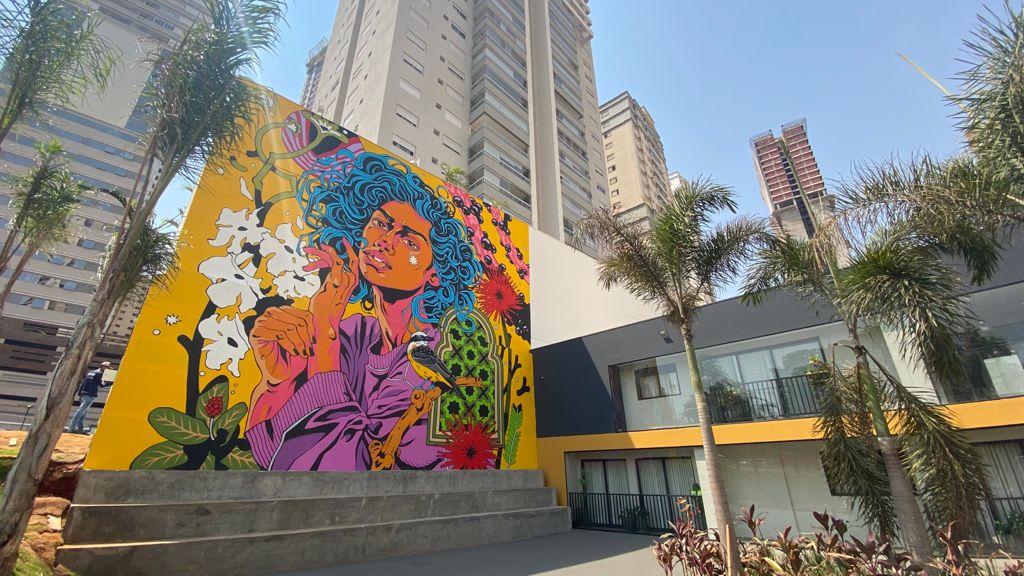 ilustradores goianos do Bicicleta Sem Freio produz Mural no Jardim Goiás 