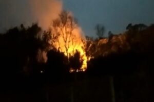 Incêndio em vegetação no bairro Jardim Cristal assusta moradores, em Aparecida (Foto: TV Anhanguera - Reprodução)