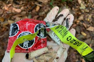 Prefeitura retira mais de 300 kg de lixo entre preservativos e garrafas plásticas no Bosque dos Buritis