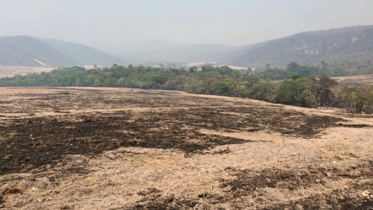 Polícia indicia 4 pessoas por incêndio criminoso de 12 dias na Chapada dos Veadeiros