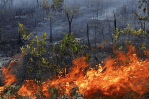 Governo Federal reconhece situação de emergência em Goiânia por desastres naturais