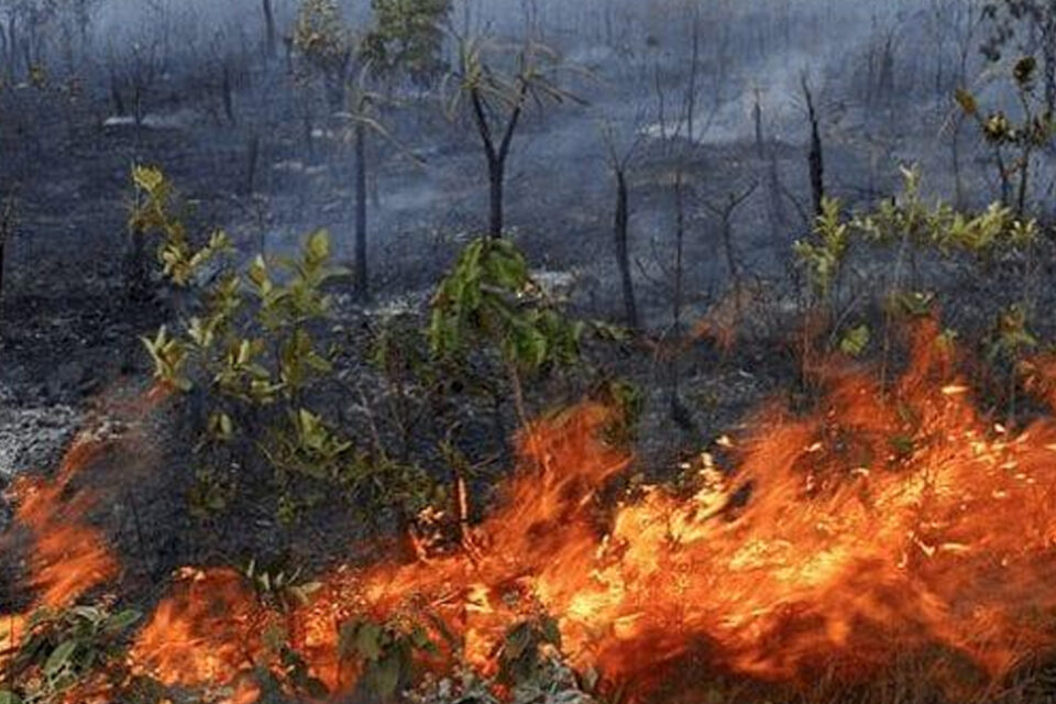 Governo Federal reconhece situação de emergência em Goiânia por desastres naturais