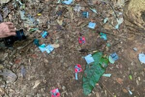 Prefeitura de Goiânia cria operação contra sexo no Bosque dos Buritis