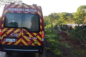 Ônibus tomba e deixa cinco feridos na BR-020, perto de Formosa (Foto: Bombeiros)