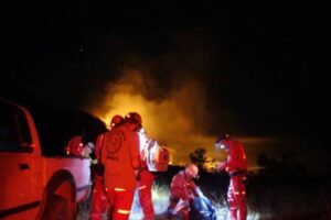 Em Goiás, brigadas voluntárias constituem reforço essencial no combate a incêndios