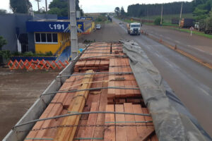 Polícia apreende carga ilegal de madeira avaliada em R$ 35 mil em Jataí