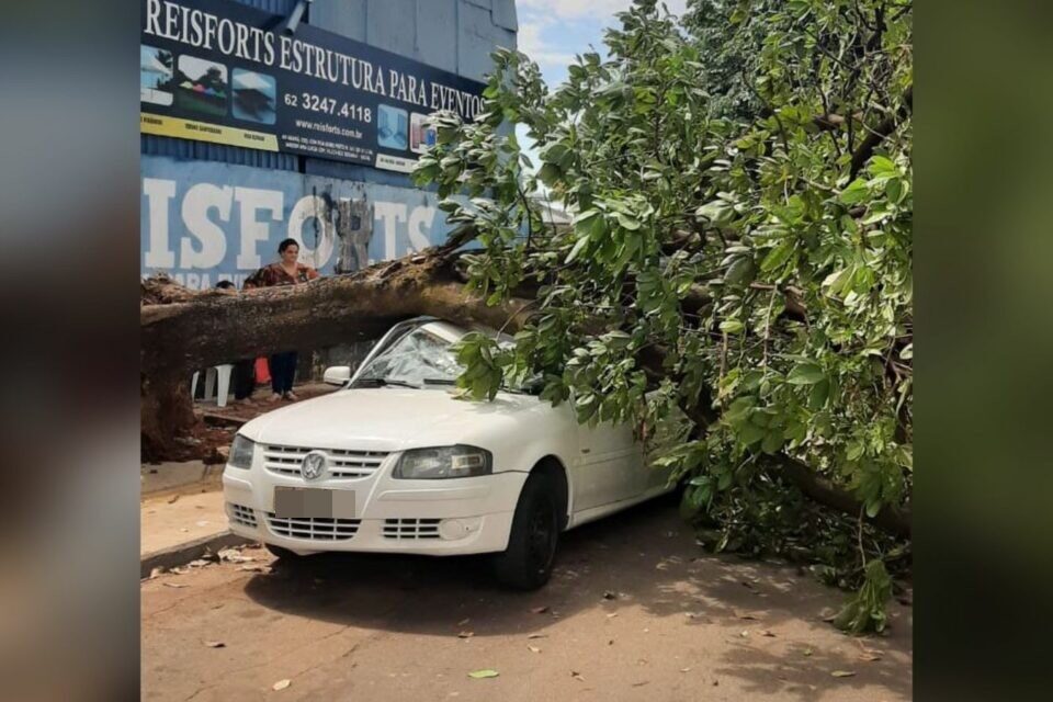 Duas mulheres - mãe e filha - viveram momentos de tensão após uma árvore cair sobre o carro em que estavam. (Foto: Corpo de Bombeiros)