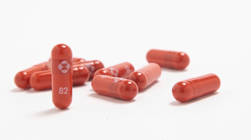 Agência reguladora dos EUA aprova uso emergencial de pílula contra Covid-19