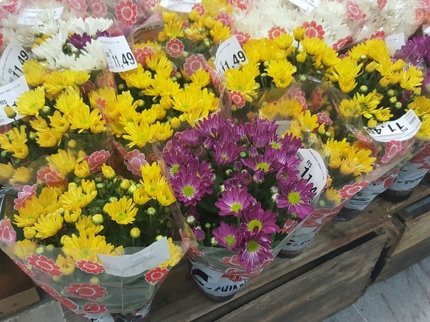 Preço de flores para o Dia de Finados têm variação de até 92,31% em Goiânia