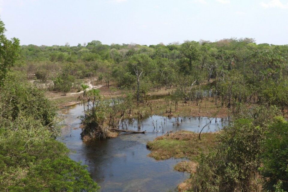 Polícia investiga extinção de afluentes do rio Araguaia; 20 córregos podem ter secado