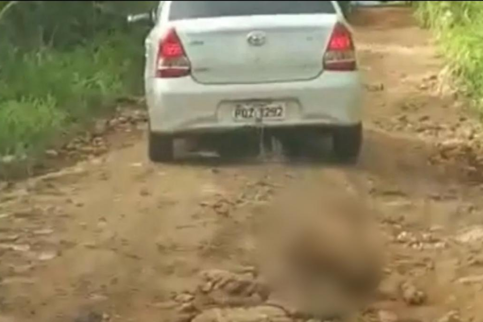 Motorista que arrastou cão em uma estrada de terra é preso em Jaraguá (Foto: Reprodução/Vídeo)