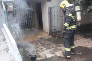 Panela esquecida em fogão ligado causa incêndio em Goianésia