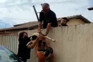 Policiais pulam muro para resgatar pitbull abandonado e com fome há 30 dias, em Formosa