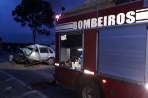 Pai e filho morrem após carro capotar em Nova Glória (Foto: Corpo de Bombeiros)