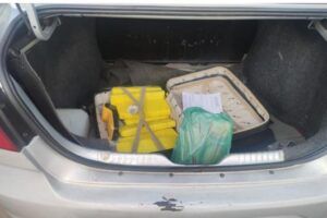 Drogas foram encontradas dentro de uma mala de viagem, em Goiânia (Foto: PMGO - Divulgação)