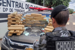 Polícia apreende R$ 1 milhão em maconha dentro de caminhão em Guapó