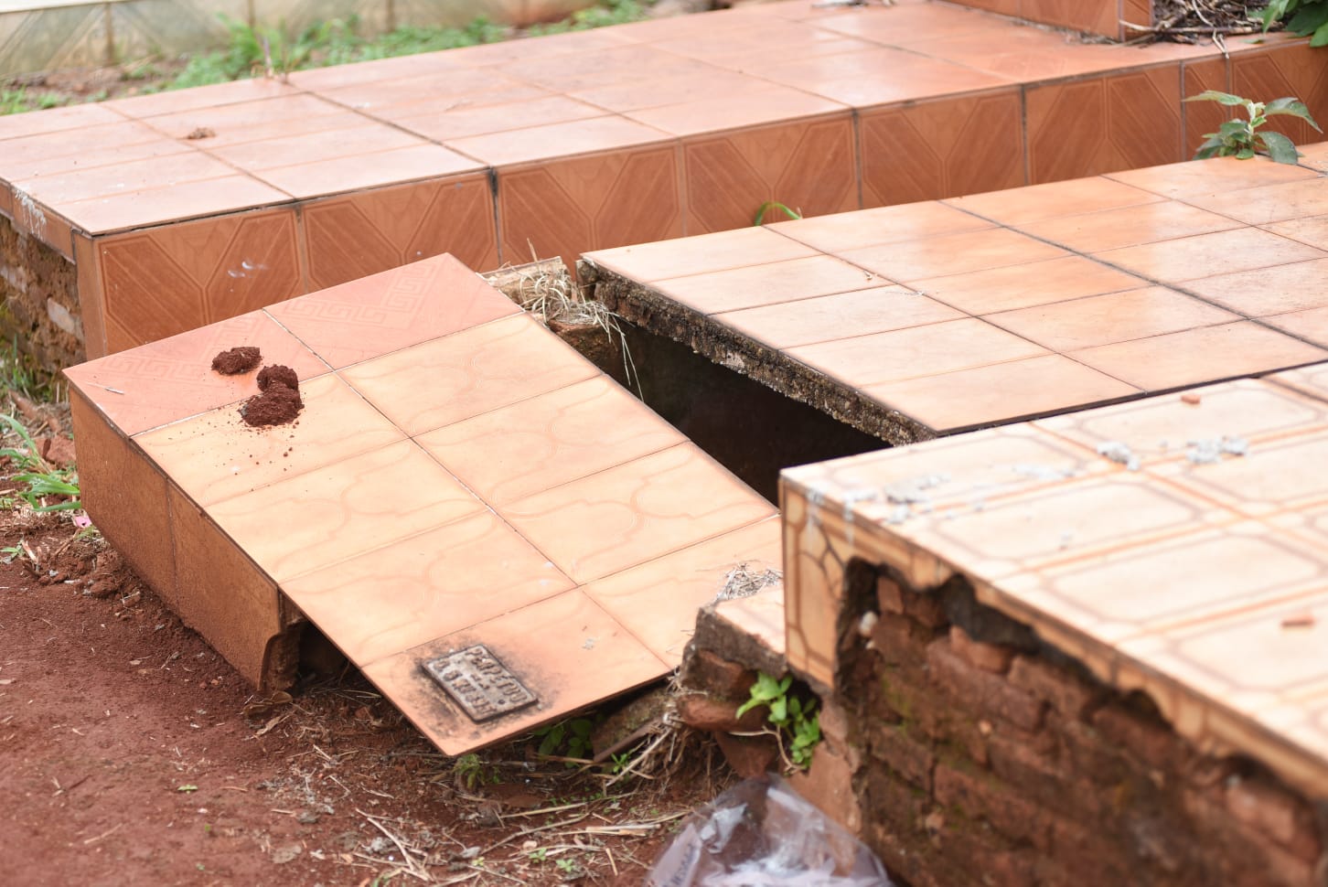 Finados: Familiares notam descaso com túmulos em cemitérios de Goiânia - (Foto: Leitor Mais Goiás)