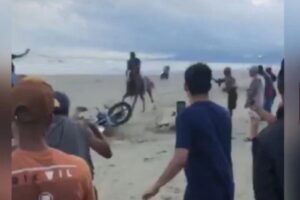Corrida entre cavalos e motos mata cachorro e fere mulher em praia de São Paulo