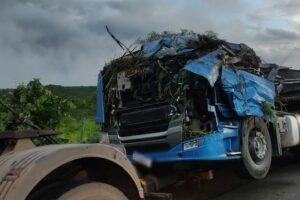 Motorista de 50 anos morre após caminhão capotar, na BR-080 em Padre Bernardo