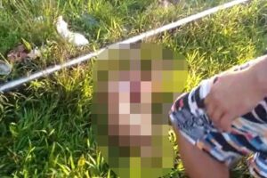 Criança morre ao cair em linha férrea e ser atropelada por trem em Cubatão (SP)