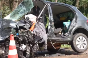 Dois motoristas e dois cães morreram após um acidente envolvendo dois carros de passeio na BR-040, em Luziânia. (Foto: Reprodução/TV Anhanguera)