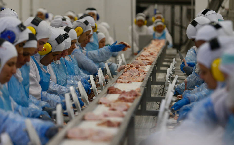 Medida será tomada por seis redes, de quatro países. Supermercados europeus param de vender carne do Brasil por relação com desmatamento
