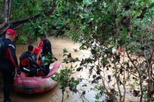 Equipes do Corpo de Bombeiros procuram por uma criança de 4 anos que desapareceu após cair em um riacho em Guarani de Goiás. (Foto: divulgação/Corpo de Bombeiros)