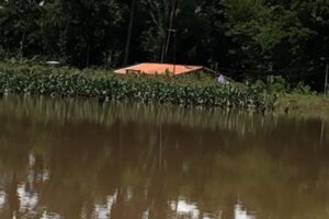 Enchentes atingem município de Trombas e prefeito pede ajuda