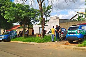 Mulher morre após colidir com árvore, no Setor Jardim Tropical, em Aparecida (Foto: Redes Sociais)