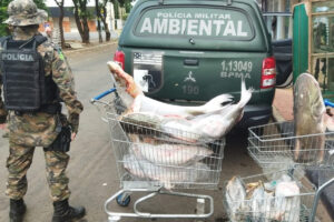 PM Ambiental prende homem com arma e peixes ameaçados de extinção