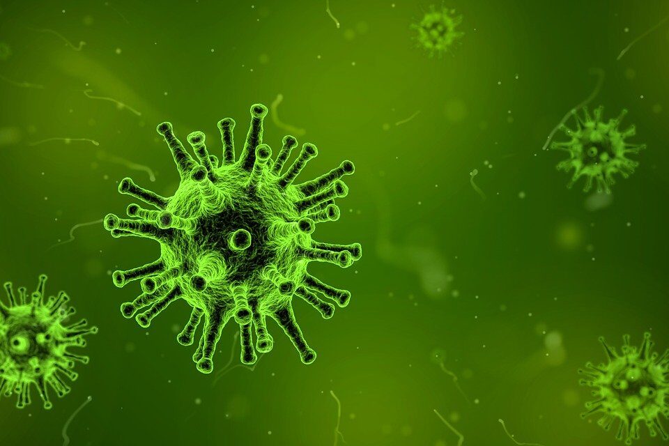 Gripe, resfriado, Covid-19 ou dengue: entenda diferenças e sintomas (Foto: Reprodução - Pixabay)