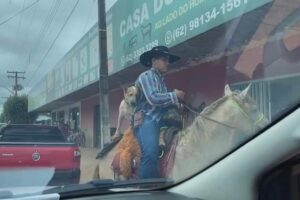 Um vídeo que circula nas redes sociais mostra quando um cão passeia a cavalo junto com o dono na cidade de Alto Horizonte, no Norte de Goiás. (Foto: reprodução)