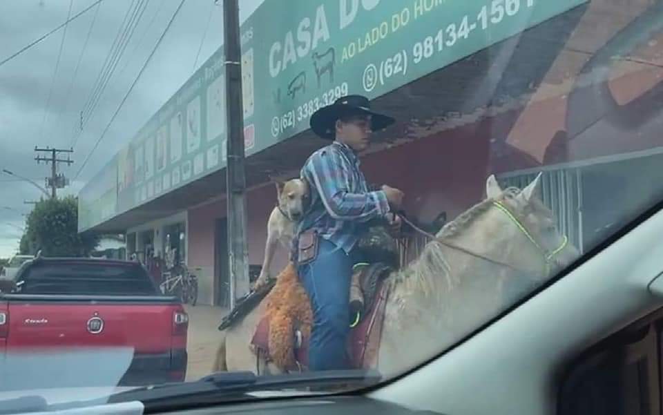 Um vídeo que circula nas redes sociais mostra quando um cão passeia a cavalo junto com o dono na cidade de Alto Horizonte, no Norte de Goiás. (Foto: reprodução)