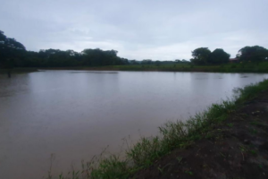Corpo de homem é encontrado em represa próxima a BR-060, em Guapó