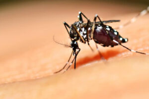 Com chaveiro, ação de combate à dengue em imóveis fechados acontece em Goiânia