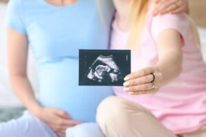O Tribunal de Justiça de Goiás reconheceu a dupla maternidade de um bebê que foi gerado por meio de inseminação artificial caseira. (Foto: reprodução/TJGO)