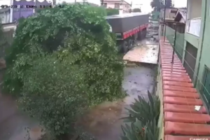 Caminhão sem motorista invade calçada e derruba árvores em Anápolis