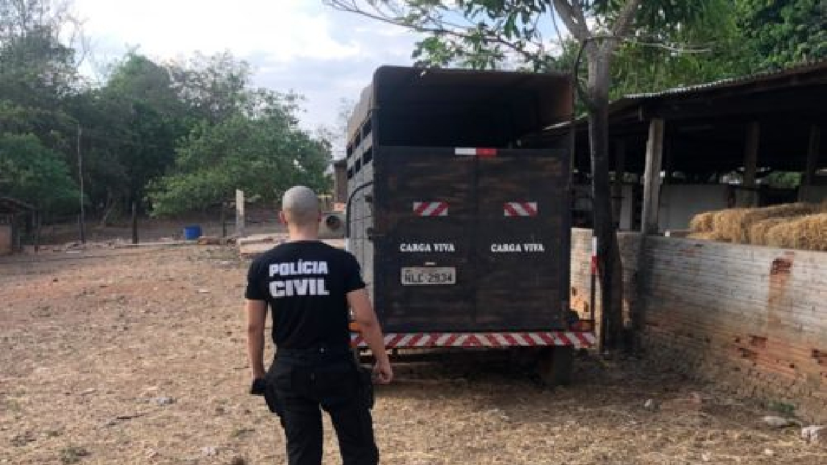 Ao todo, o grupo criminoso está envolvido em pelo menos seis ocorrências de furto e roubo de gado em diferentes cidades de Goiás.