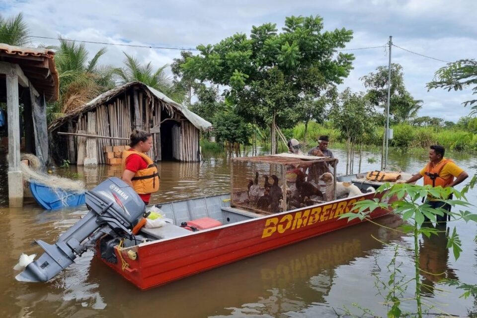 Tocantins sofre com chuvas e já tem 340 pessoas desabrigadas