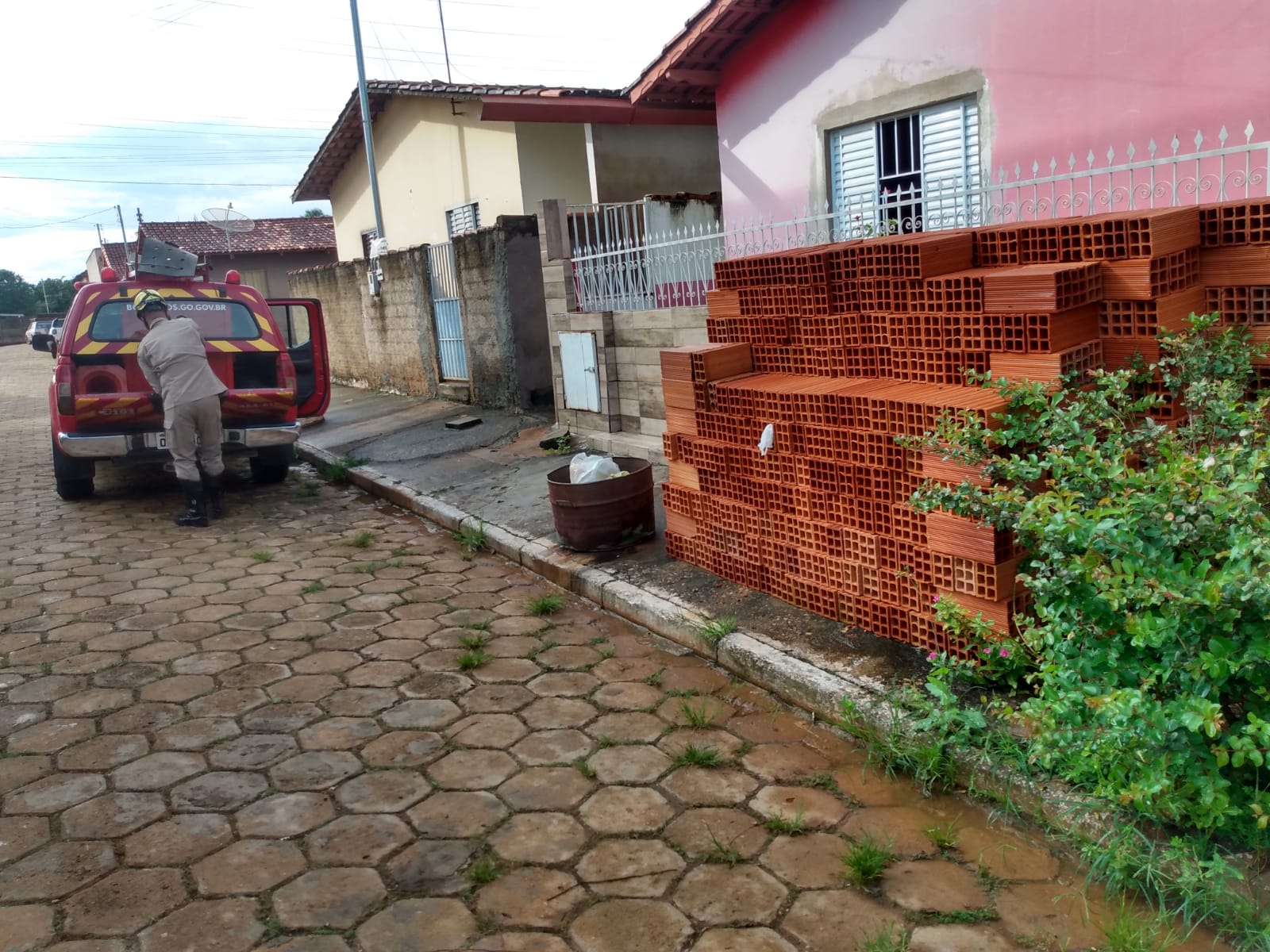 Morador de Urutaí encontra jacaré de um metro na porta de casa e aciona bombeiros (Foto: Bombeiros)