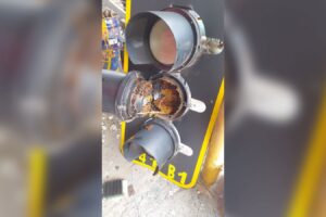 Após defeito em semáforo de Goiânia, SMM descobre colmeia de abelhas no equipamento