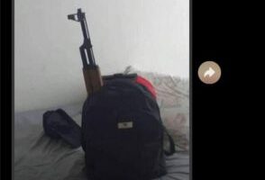 Adolescente pega foto de arma na internet e ameaça fazer massacre em escola de Aparecida de Goiânia
