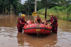 O Corpo de Bombeiros resgatou, na tarde de sábado (19), quatro cães que ficaram ilhados após fortes chuvas no Setor Novo Mundo, em Goiânia.