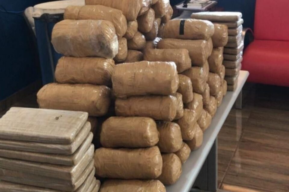 Um goiano que mora em Posse foi preso na terça-feira (22), no Mato Grosso, com 100 kg de supermaconha, avaliados em R$ 2 milhões. (Foto: divulgação)