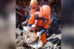 Gato soterrado há mais de uma semana é resgatado com vida em Petrópolis