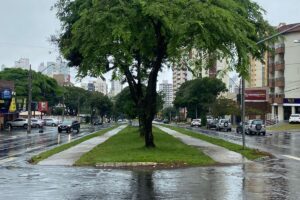 Prefeitura de Goiânia presta homenagem a jovem atropelado na portaria de prédio (Foto: Divulgação)