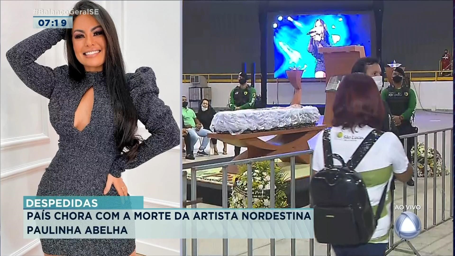 Paulinha abelha morta fotos